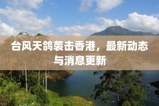 台风天鸽袭击香港，最新动态与消息更新