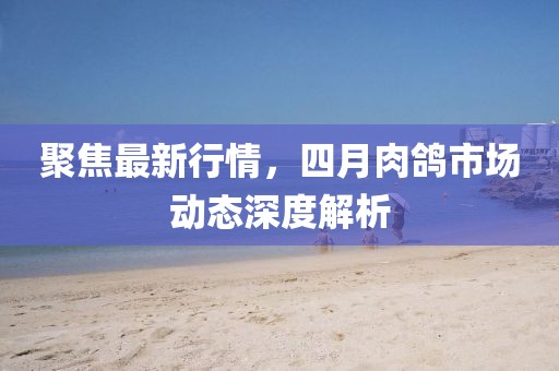 聚焦最新行情，四月肉鸽市场动态深度解析