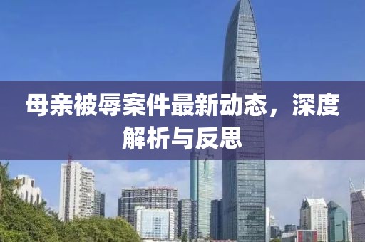 母亲被辱案件最新动态，深度解析与反思