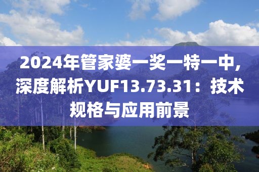 2024年管家婆一奖一特一中,深度解析YUF13.73.31：技术规格与应用前景