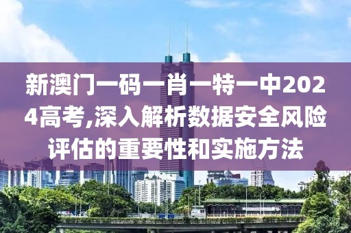 新澳门一码一肖一特一中2024高考,深入解析数据安全风险评估的重要性和实施方法