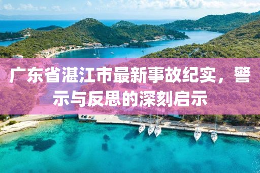广东省湛江市最新事故纪实，警示与反思的深刻启示