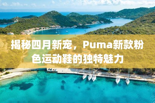 揭秘四月新宠，Puma新款粉色运动鞋的独特魅力