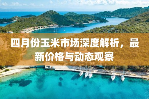 四月份玉米市场深度解析，最新价格与动态观察