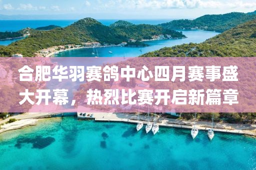 合肥华羽赛鸽中心四月赛事盛大开幕，热烈比赛开启新篇章
