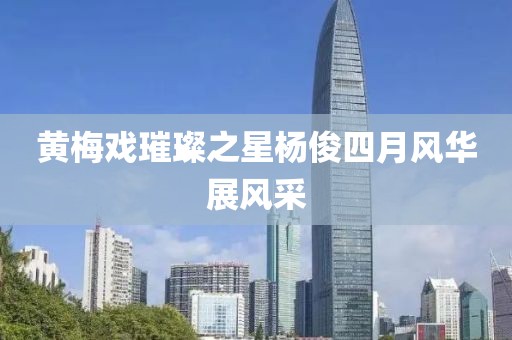 黄梅戏璀璨之星杨俊四月风华展风采
