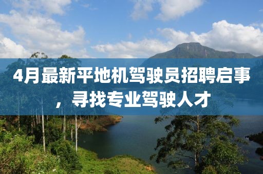 4月最新平地机驾驶员招聘启事，寻找专业驾驶人才