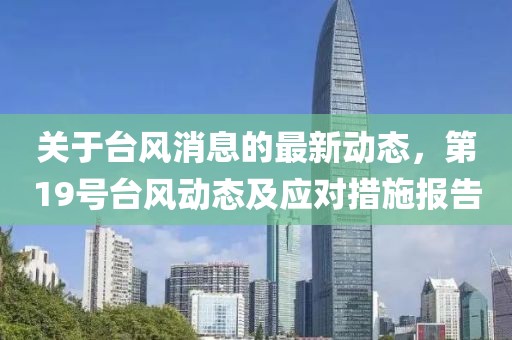 关于台风消息的最新动态，第19号台风动态及应对措施报告