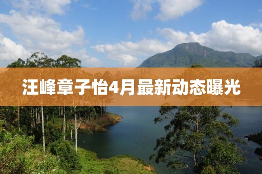 汪峰章子怡4月最新动态曝光
