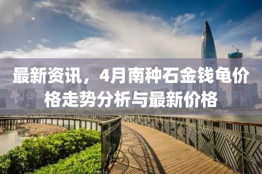 最新资讯，4月南种石金钱龟价格走势分析与最新价格
