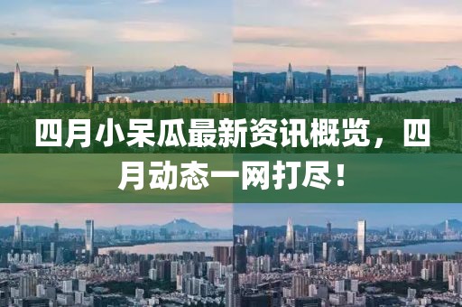 四月小呆瓜最新资讯概览，四月动态一网打尽！