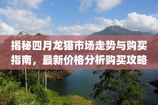 揭秘四月龙猫市场走势与购买指南，最新价格分析购买攻略