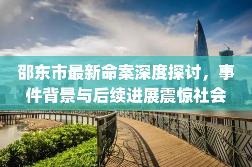 邵东市最新命案深度探讨，事件背景与后续进展震惊社会