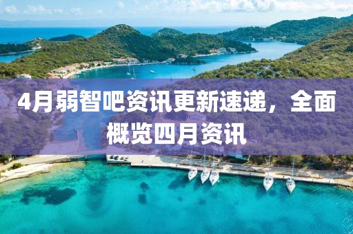 4月弱智吧资讯更新速递，全面概览四月资讯