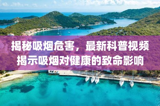水果蔬菜 第55页