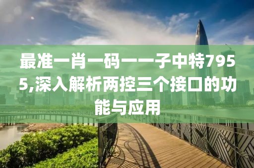 最准一肖一码一一子中特7955,深入解析两控三个接口的功能与应用