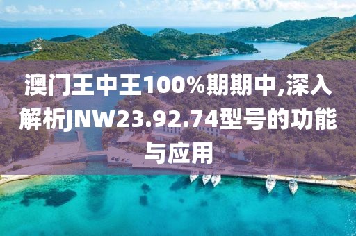 澳门王中王100%期期中,深入解析JNW23.92.74型号的功能与应用