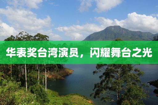 华表奖台湾演员，闪耀舞台之光