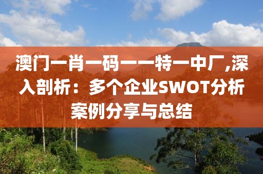 澳门一肖一码一一特一中厂,深入剖析：多个企业SWOT分析案例分享与总结