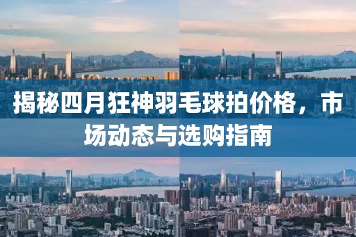 揭秘四月狂神羽毛球拍价格，市场动态与选购指南