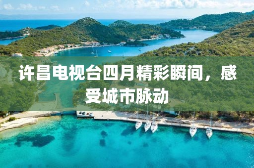 许昌电视台四月精彩瞬间，感受城市脉动