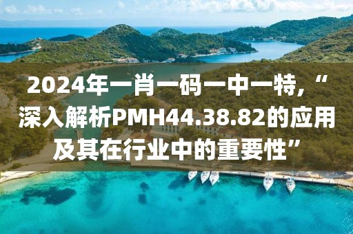 2024年一肖一码一中一特,“深入解析PMH44.38.82的应用及其在行业中的重要性”