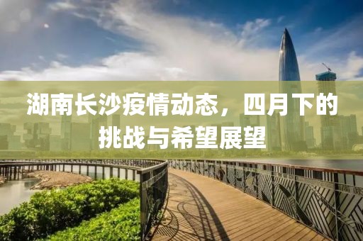 湖南长沙疫情动态，四月下的挑战与希望展望