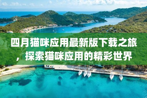 四月猫咪应用最新版下载之旅，探索猫咪应用的精彩世界
