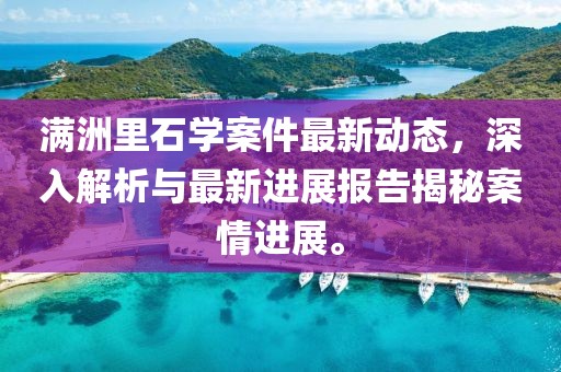 满洲里石学案件最新动态，深入解析与最新进展报告揭秘案情进展。