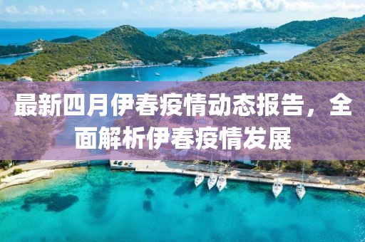 最新四月伊春疫情动态报告，全面解析伊春疫情发展