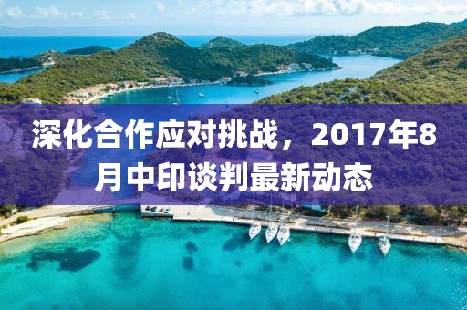小懒猫 第3页