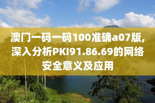 澳门一码一码100准确a07版,深入分析PKI91.86.69的网络安全意义及应用