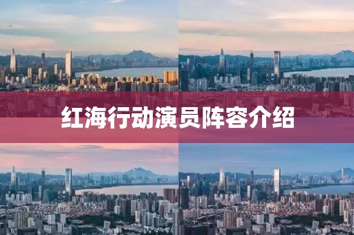 红海行动演员阵容介绍