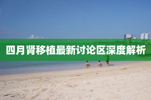 四月肾移植最新讨论区深度解析