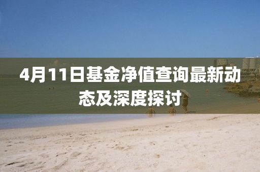 4月11日基金净值查询最新动态及深度探讨