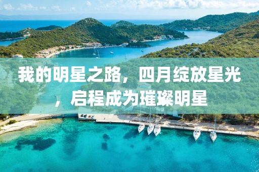 我的明星之路，四月绽放星光，启程成为璀璨明星