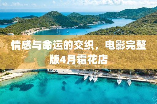 情感与命运的交织，电影完整版4月霜花店