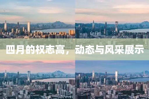 四月的权志高，动态与风采展示