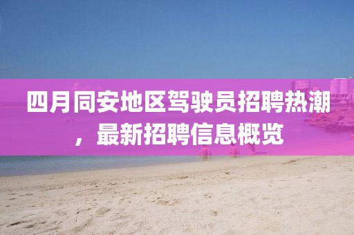 四月同安地区驾驶员招聘热潮，最新招聘信息概览