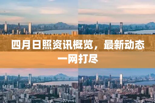 四月日照资讯概览，最新动态一网打尽