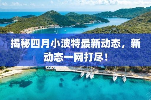 揭秘四月小波特最新动态，新动态一网打尽！