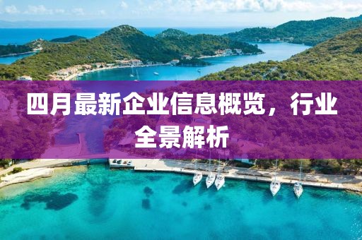 四月最新企业信息概览，行业全景解析