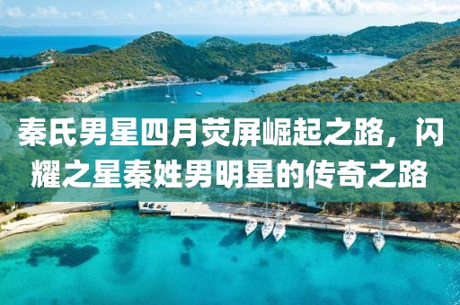 秦氏男星四月荧屏崛起之路，闪耀之星秦姓男明星的传奇之路