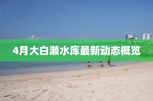 4月大白濑水库最新动态概览