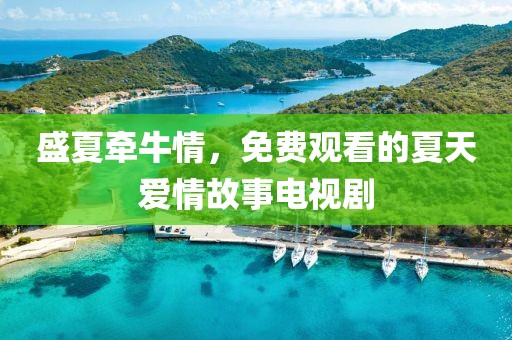 盛夏牵牛情，免费观看的夏天爱情故事电视剧