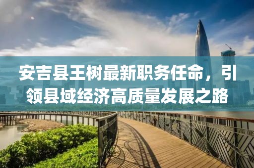 安吉县王树最新职务任命，引领县域经济高质量发展之路