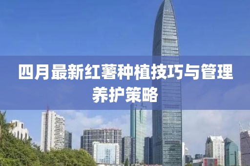 四月最新红薯种植技巧与管理养护策略