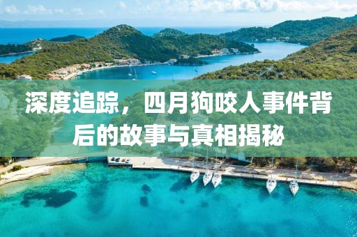 深度追踪，四月狗咬人事件背后的故事与真相揭秘
