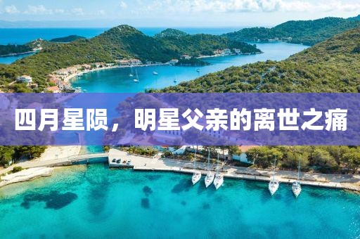 四月星陨，明星父亲的离世之痛