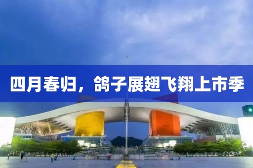 四月春归，鸽子展翅飞翔上市季